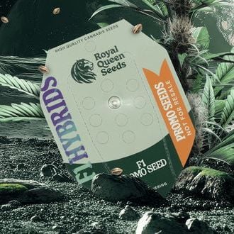 Free F1 Hybrid Auto Seed (Royal Queen Seeds)