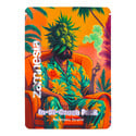 In-Di-Couch Indica Pack - Automatic Sorten