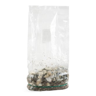 Zamnesia Ready-2-Grow Bag 'Bluey Vuitton'