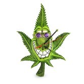 Clock Cannabuds