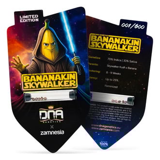 Bananakin Skywalker (Zamnesia Seeds x DNA Genetics) feminized