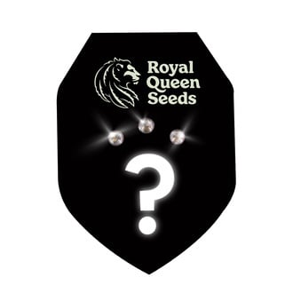 Automatic Mystery Seeds 3 (Royal Queen Seeds)