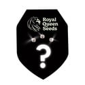 Automatic Mystery Seeds 3 (Royal Queen Seeds)