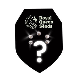Automatic Mystery Seeds 5 (Royal Queen Seeds)