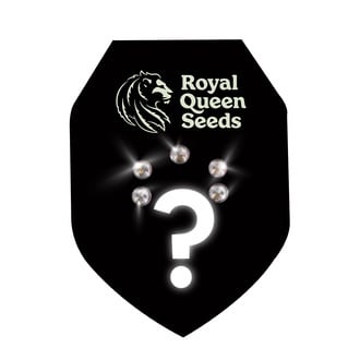 Automatic Mystery Seeds 5 (Royal Queen Seeds)