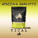 Spazzola Garletti (TICAL) feminisiert