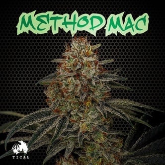 Method Mac (Tical Genetics) Feminized