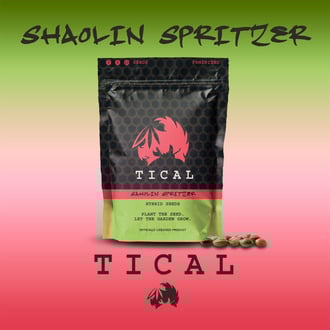 Shaolin Spritzer (TICAL) feminisiert