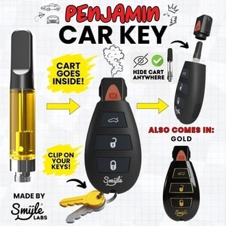 Car Key Penjamin (Smyle Labs)