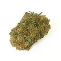 Acapulco Gold (Growers Choice Seeds) feminized