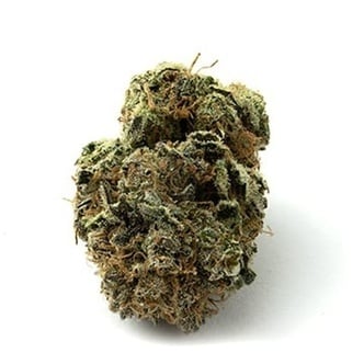 Strawberry Banana Auto (Growers Choice Seeds) feminized