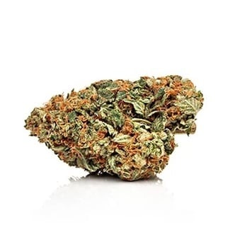 Critical Purple Auto (Growers Choice Seeds) feminized