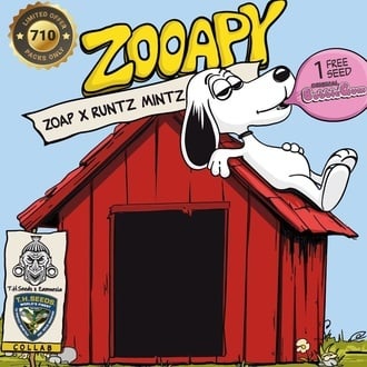Zooapy (T.H. Seeds) feminisiert