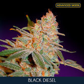 Black Diesel (Advanced Seeds) feminisiert