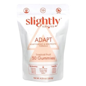 Mushroom Gummies | ADAPT (Slightly Elevated)