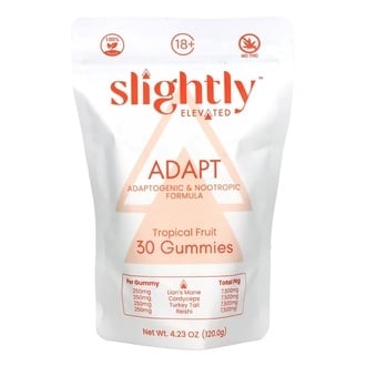 Mushroom Gummies | ADAPT (Slightly Elevated)
