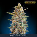 Auto Blue Diesel (Advanced Seeds) feminisiert