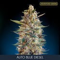Auto Blue Diesel (Advanced Seeds) feminized