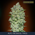 Auto Bio Diesel Mass (Advanced Seeds) feminisiert