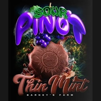 Thin Mint x Sour Pinot Auto (Barney's Farm) feminized