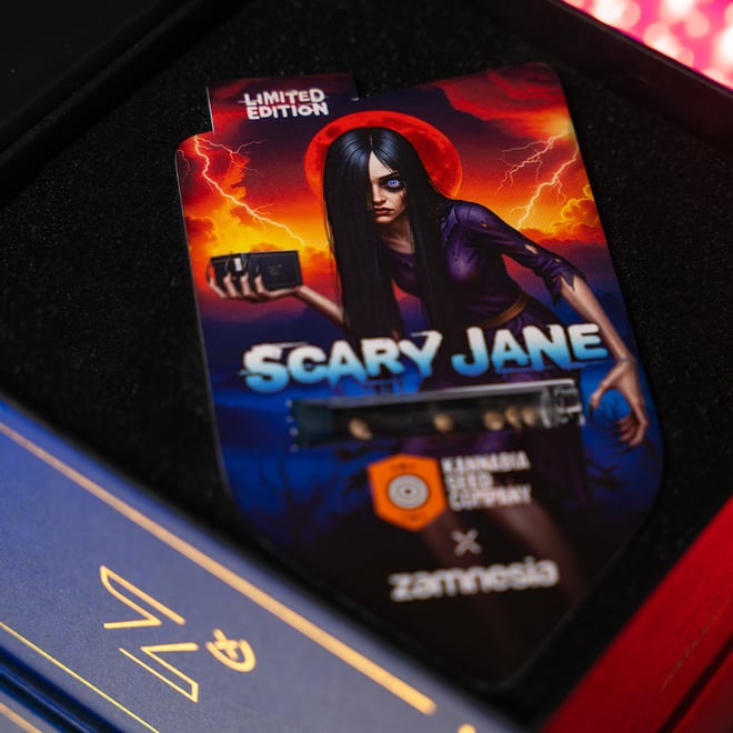 Buy Scary Jane Fast Version | Kannabia x Zamnesia Seeds