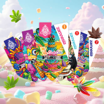 Sweet-topia Bundle (Zamnesia Seeds) feminisiert