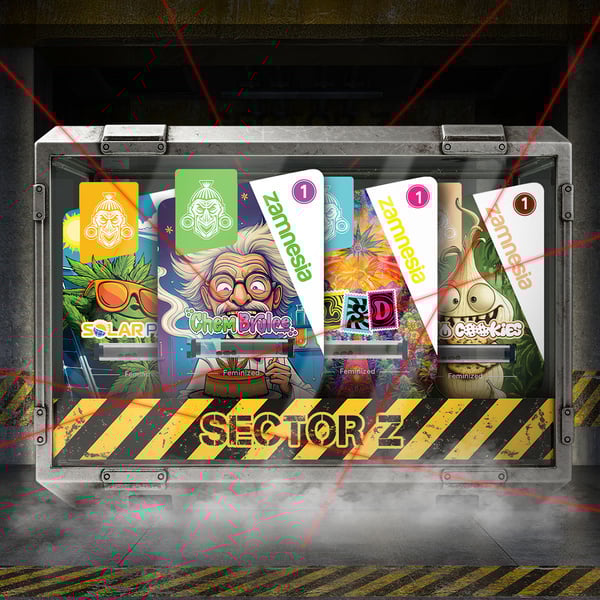 Sector Z Bundle (Zamnesia Seeds) feminisiert