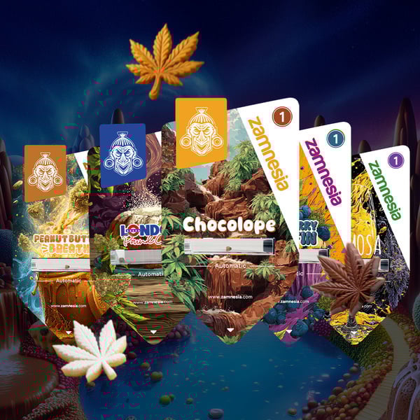 Sugar Valley Autoflower Bundle (Zamnesia Seeds) feminized