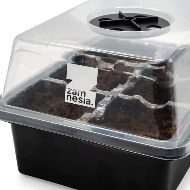 Buy the Seed Propagation Kit | Easy Seed Germination