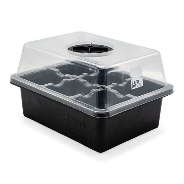 Seed Propagation Kit (Zamnesia)