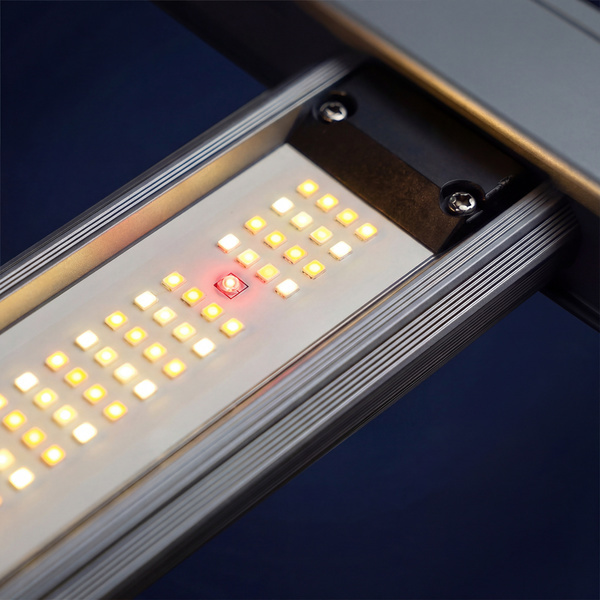 Phytonaut LED Grow Light 120 W (Zamnesia)