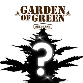 Autoflower Mystery Seed 1 (Garden of Green)