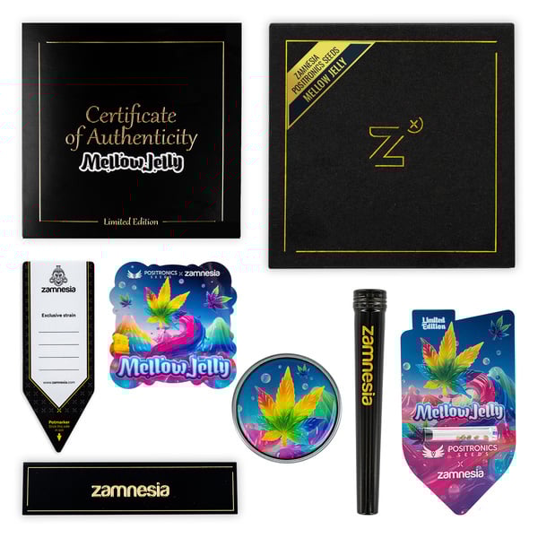 Mellow Jelly (Positronics Seeds x Zamnesia Seeds) feminized