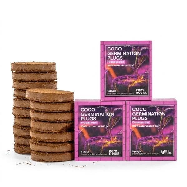 Coco Plugs Bundle