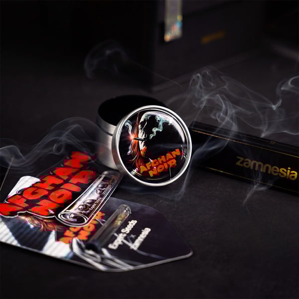 Afghan Noir (Zamnesia Seeds x Expert Seeds) Feminized