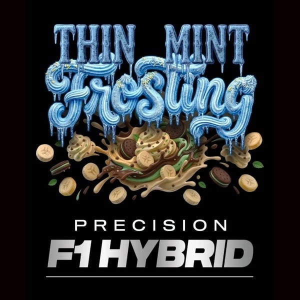 Thin Mint Frosting F1 (Barney's Farm) feminized
