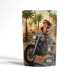 Bad Bitches Z-Lock Stash Bag (Extra Large)