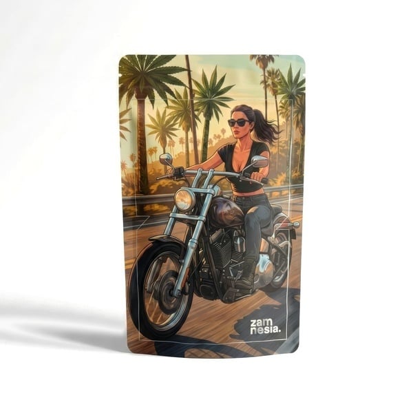 Bad Bitches Z-Lock Stash Bag (Extra Large)