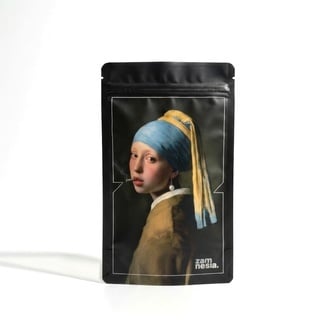 High Art Z-Lock Stash Bag (Extra Large)