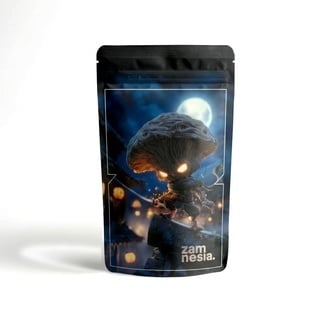 Shroomies Z-Lock Stash Bag (Small)