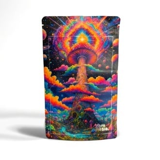 Psychedelic Dreams Z-Lock Stash Bag (Extra Large)