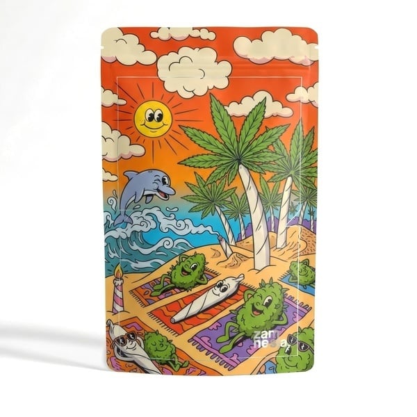 Trippy Toons Z-Lock Stash Bag (Extra Large)