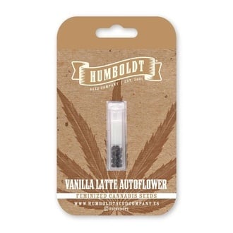 Vanilla Latte Autoflower (Humboldt Seed Company) Feminized