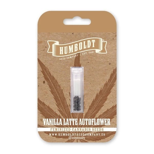 Vanilla Latte Autoflower (Humboldt Seed Company) Feminized