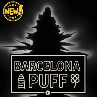 Barcelona Puff Auto (Seedstockers) Feminized
