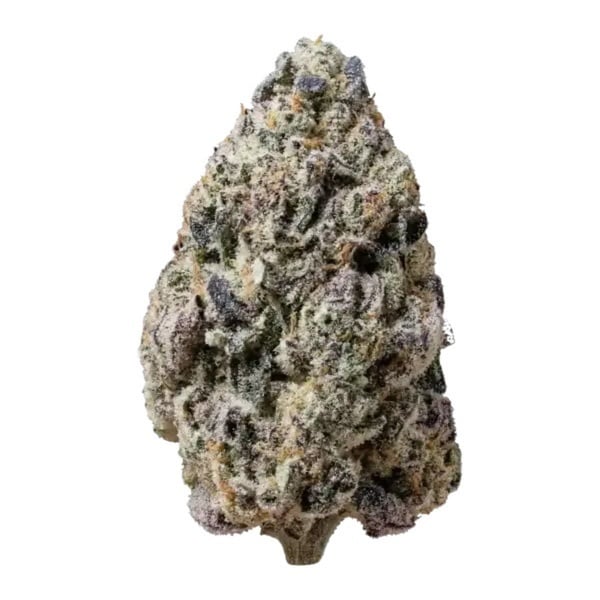 Biscotti Gelato (Fast Buds) Feminized