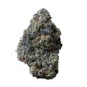 Gary Sherbet (Fast Buds) Feminized