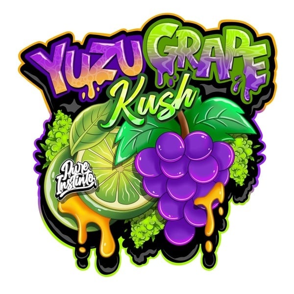 Yuzu Grape Kush (Pure Instinto) Feminized