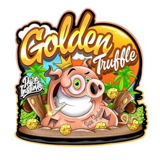 Golden Truffle (Pure Instinto) Feminized