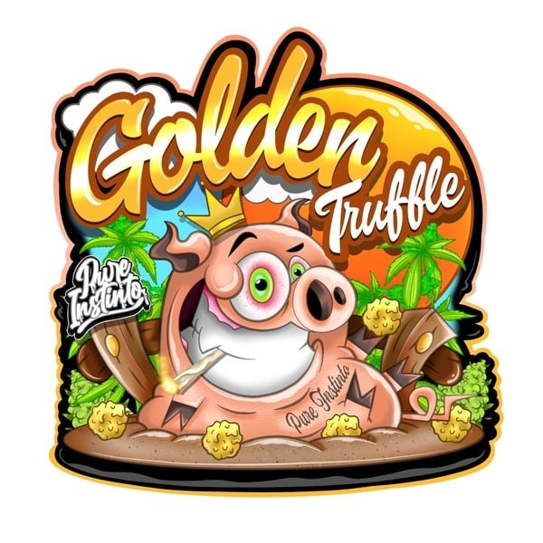 Golden Truffle (Pure Instinto) Feminized